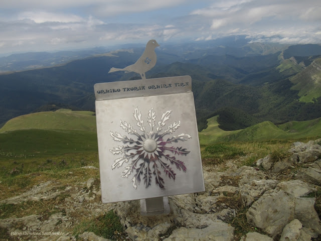 Orhi pünta zikintürik izan da!!