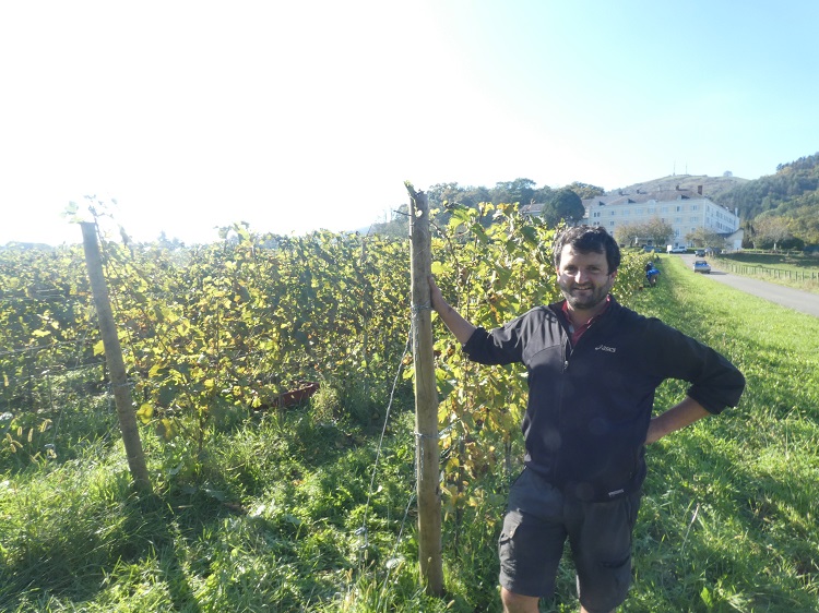 Mahatsen biltzearen sasua da !!