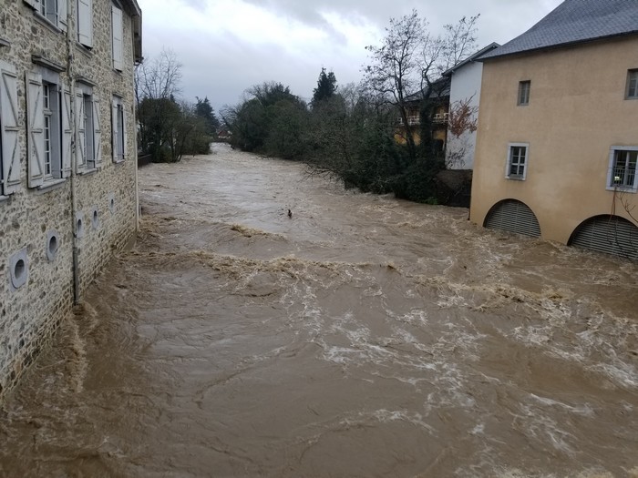 Ühaitza berriz ere gora