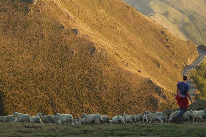 ez da batere aisa artzain baten atzamaitera bortükako!