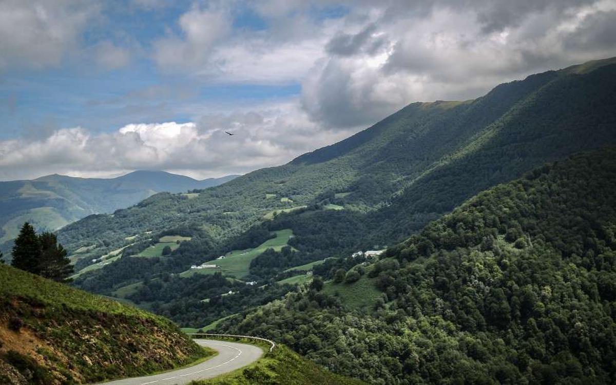 Beaumartin-eko oihana bertan saldüko da