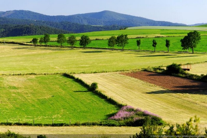 Laborantxako bekanikak gerogo eta karioago dira…