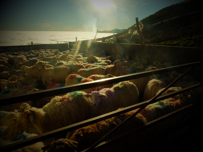 Kabalen zaintzeko lagüngoetan kanbiamena!