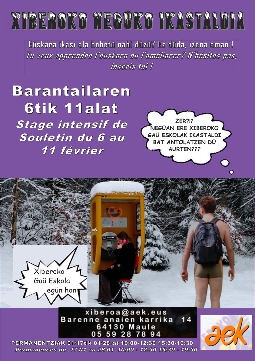 Negüa ere xiberotarraren ikasteko sasua da