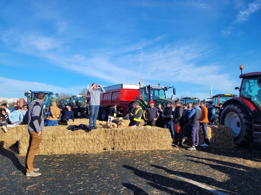 Laborariak kexü dira