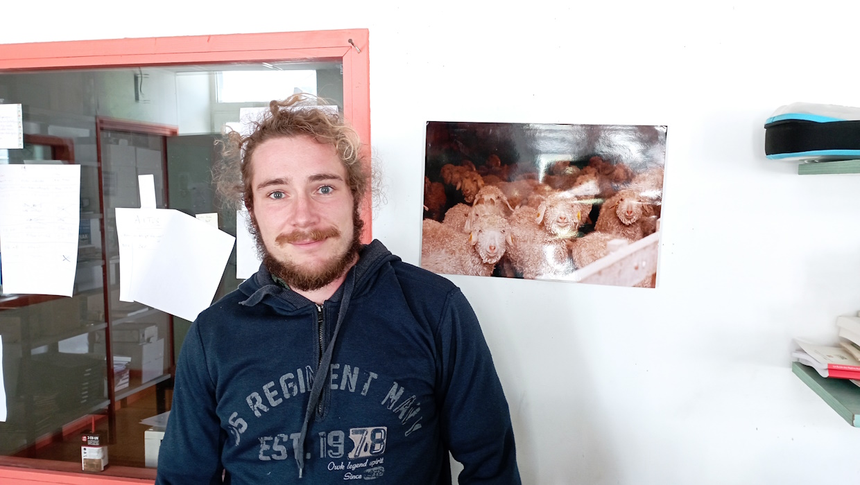 Lacqueko E-cho xedea ekologikoa dea?