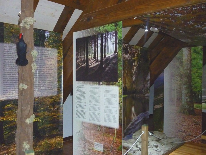 Batzarri güneko erakuska