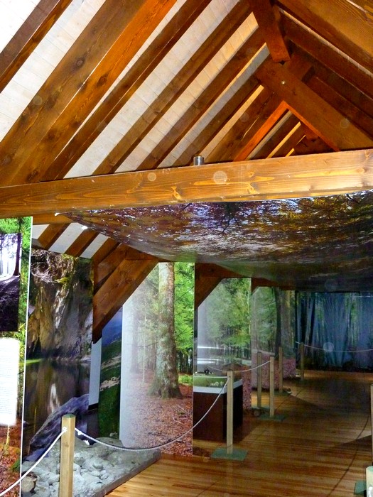 Batzarri güneko erakuska