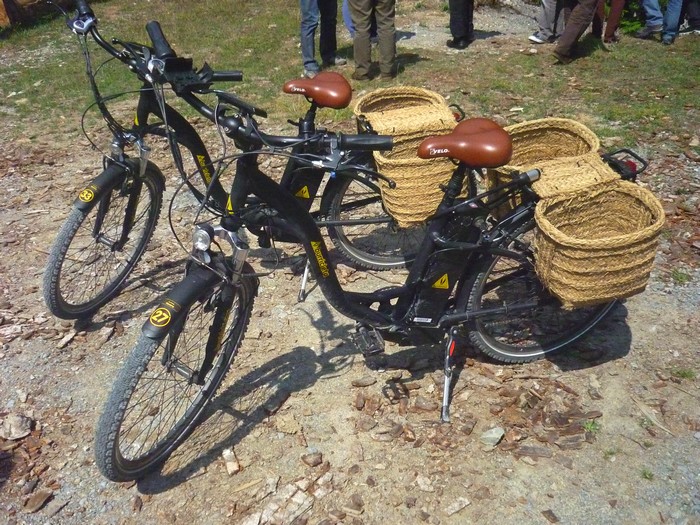 Alokaidatzen ahal diren bizikleta elektrikoak