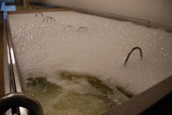 Salieseko gatza baliatzen dü Azkorriak