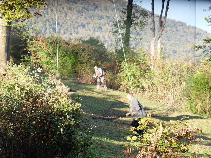 Ihizteka sasua ontsa hasi da!