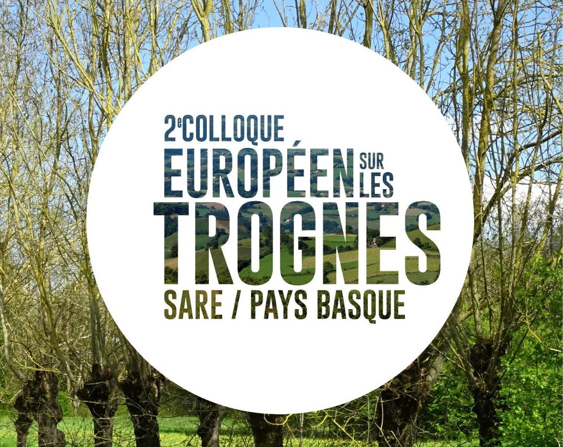 Zühain lepatüak aztergai Saran ostegünetik neskenegüneala.