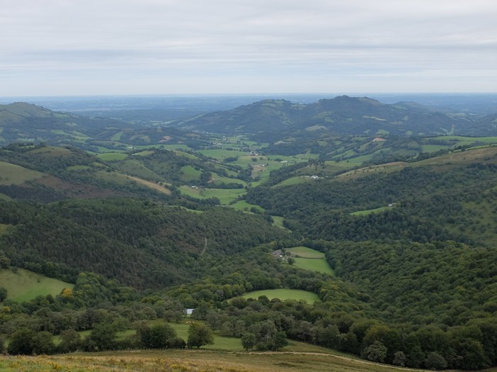 Norek dü Basabürüko soho ejerrena?