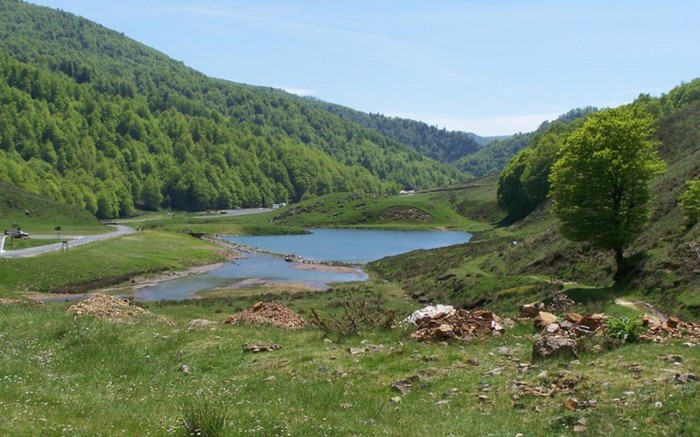 Iratiko oihanaren hobeki ezagützeko bi aplikazio