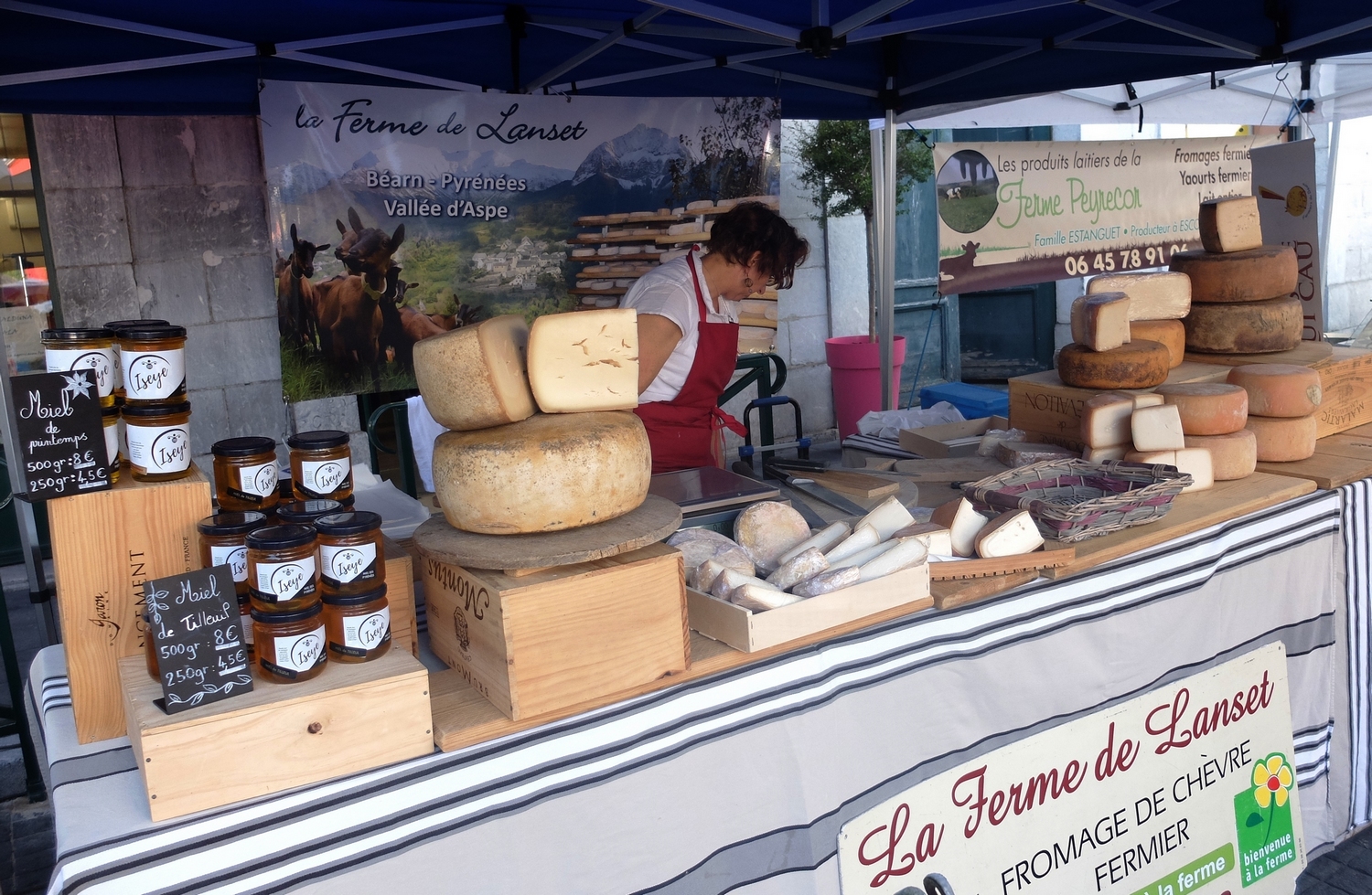 Gazna beti bezain hona.