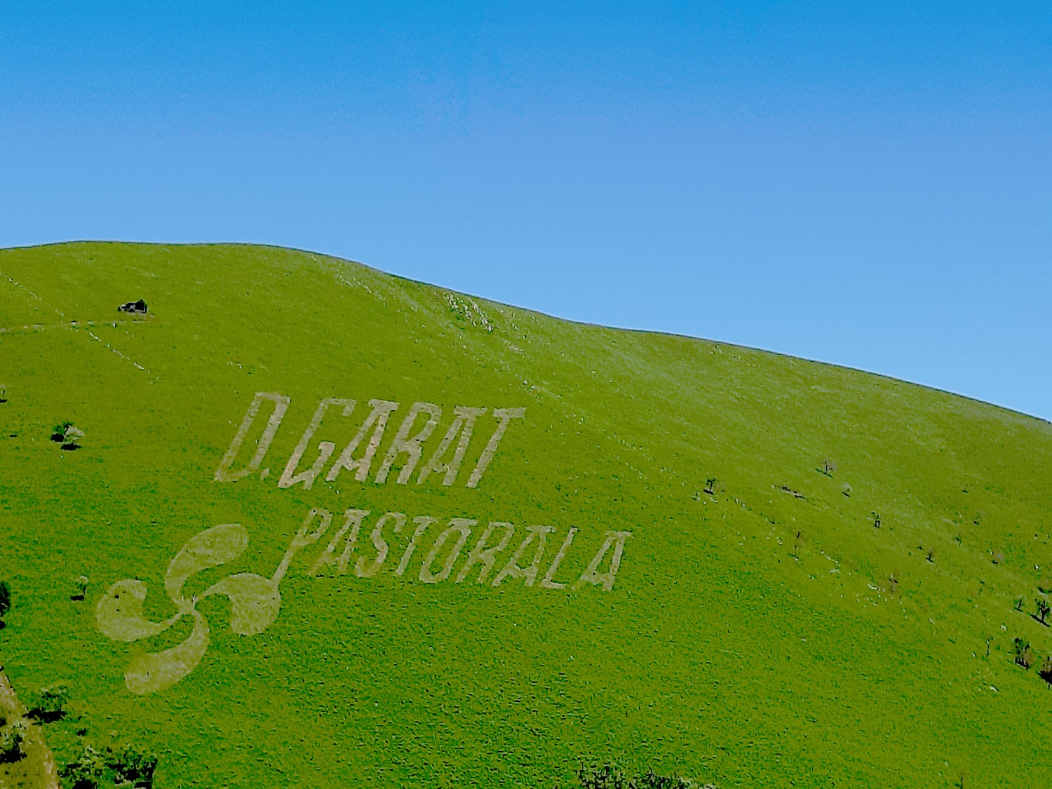 Domingo Garat Pastorala margo begetala ageri Oxkaxen.