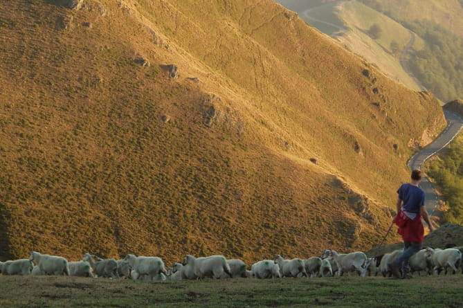 ez da batere aisa artzain baten atzamaitera bortükako!