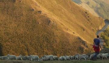 ez da batere aisa artzain baten atzamaitera bortükako!