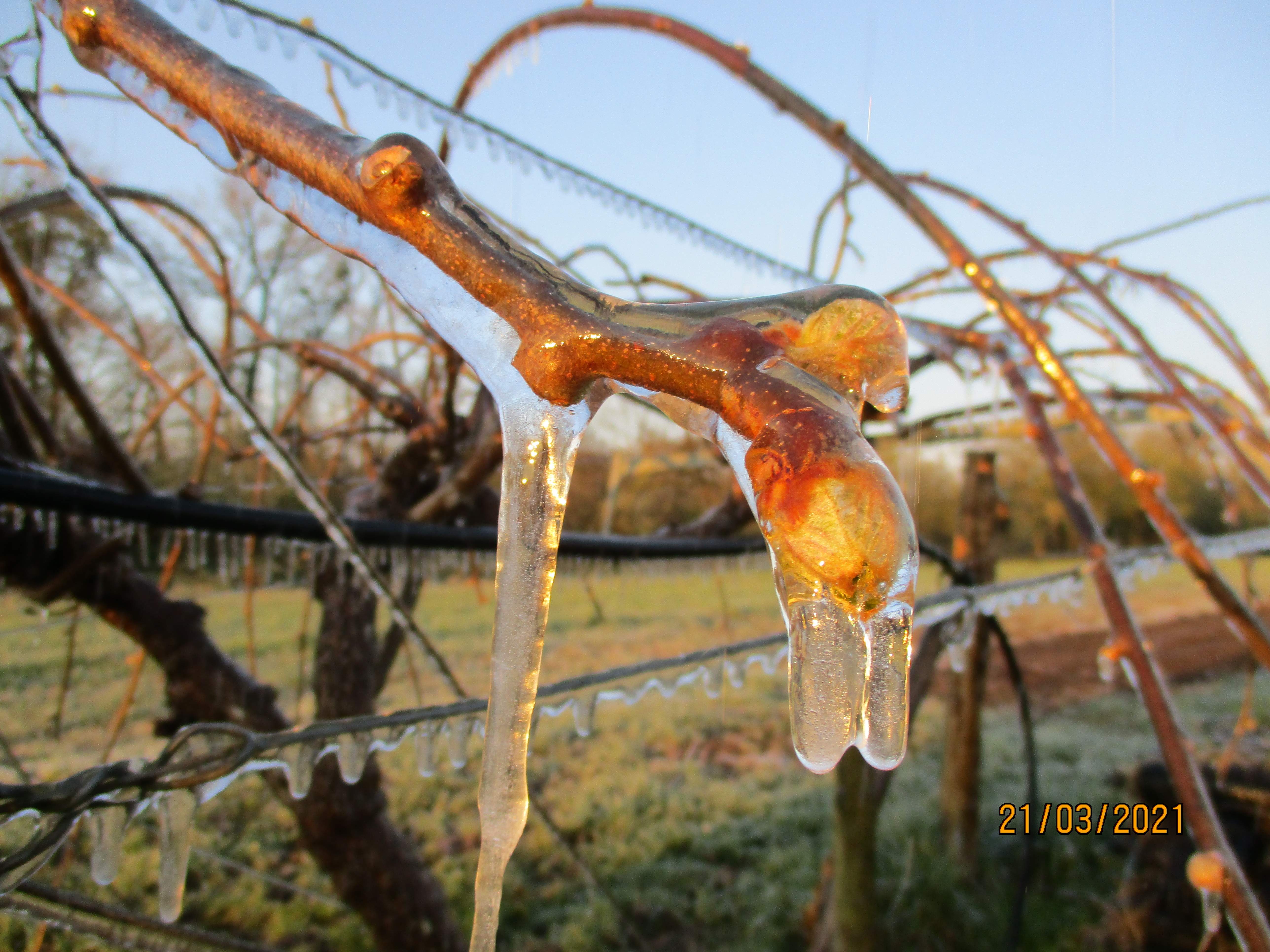 Nola bürü egin karruari?