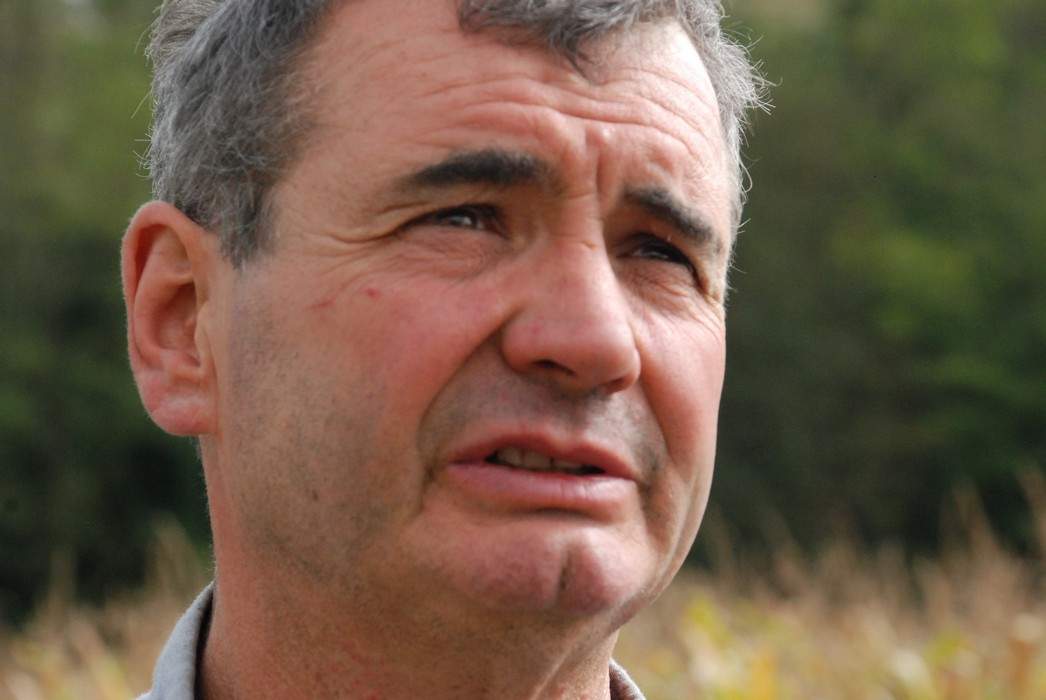 Pettiri Xübükori omenaldi!!