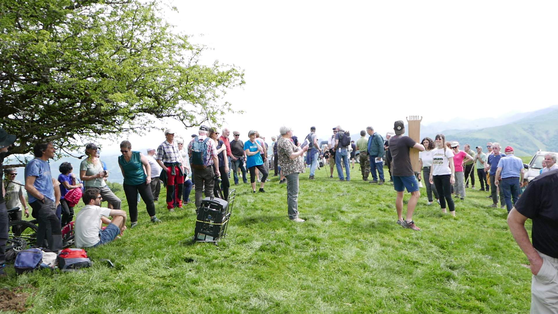 Allande Socarros denen gogoan !