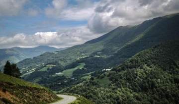 Beaumartin-eko oihana bertan saldüko da