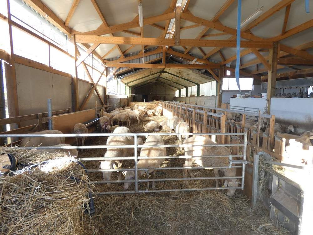 PAC berri baten egiteko bidean dira 2023ko!