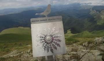 Orhi pünta zikintürik izan da!!