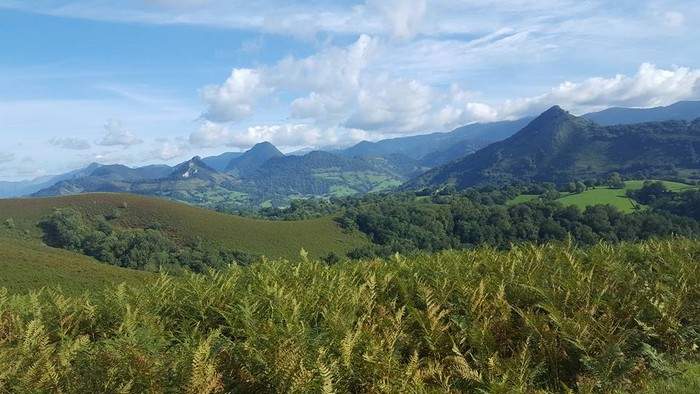 Ziberoinez, hobeki elkar ezagützeko parada igantean!