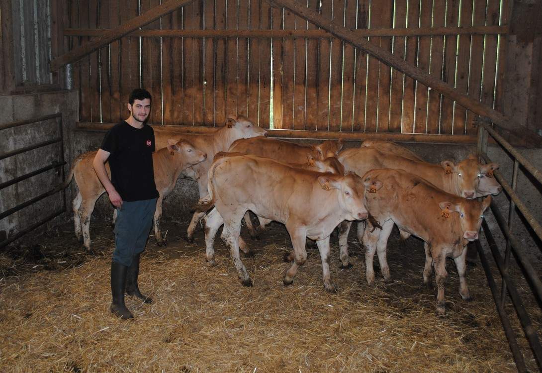 Sohütako Hokiko kartielan gainti Uhart etxaltealat hüillantü gira ….