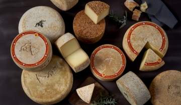 Frantziako 51 gazna sormarken ordezkariak Xiberoan gainti !