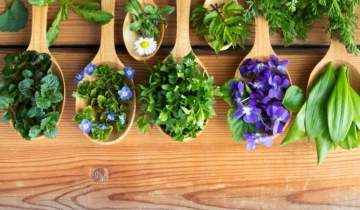 Evelyne Méau natüropataren aholküak urtearen ontsa partitzeko !