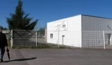 Mauleko kabale ehogiak betiko erritmoan arrasartü behar lüke